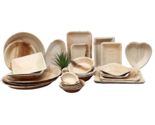 Areca-Palm-Leaf-Plates-1 PNG NOW